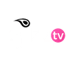 BIZ TV