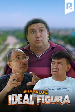 Shapaloq - Ideal figura